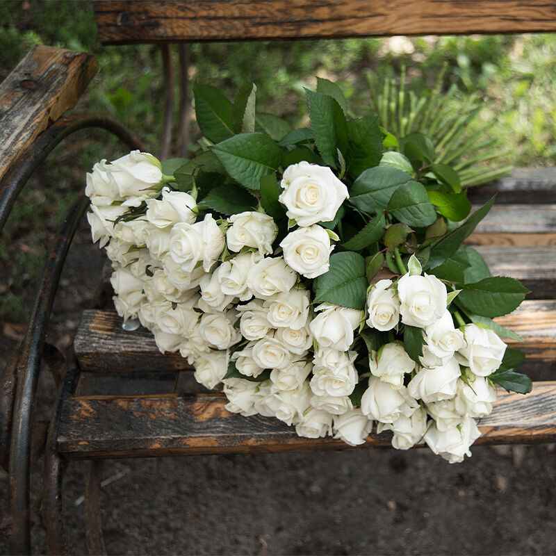 Kate Gale - Funeral Celebrant